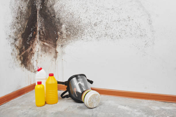Best Mold Testing and Inspection Services in Flordell Hills, MO