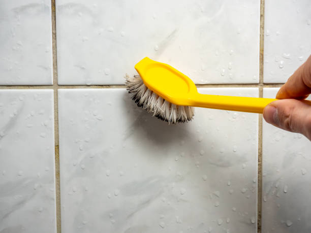 Best Kitchen Mold Remediation in Flordell Hills, MO