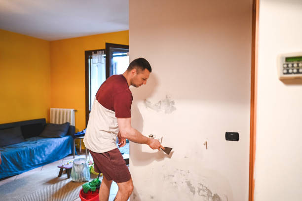 Best Post-Flood Mold Remediation in Flordell Hills, MO